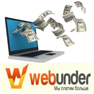 Тизерная реклама Webunder.ru - рекламная сеть с оплатой за показы!